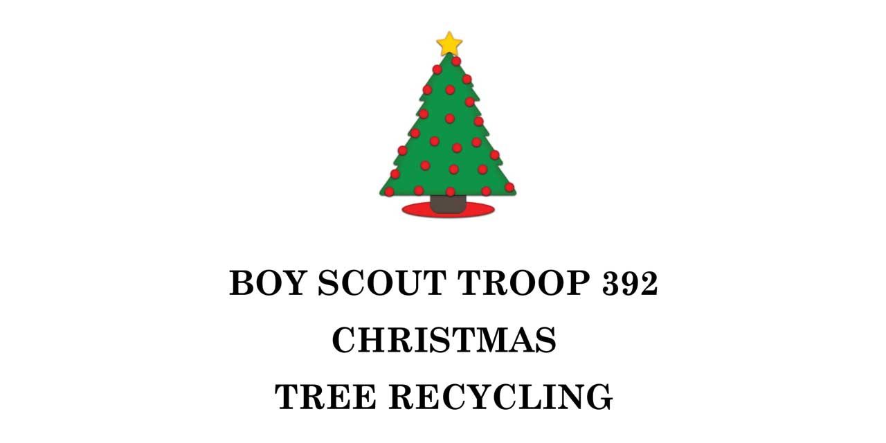Boy Scout Troop #392 will be recycling Christmas trees this weekend at John Knox