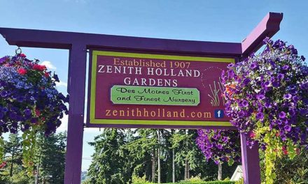 Crows tore up your lawn in 2020? Learn how to MAKE IT STOP at Zenith Holland Nursery Talk on Fri., June 25