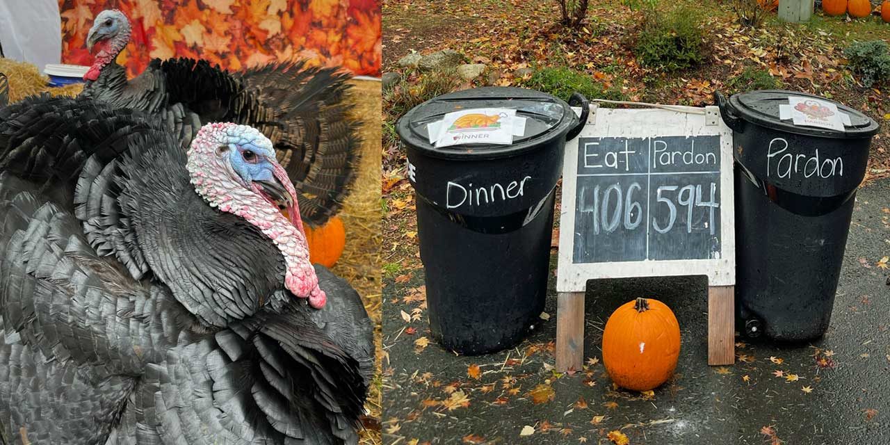 Krull family’s annual ‘Dinner or Pardon’ Turkey Food Drive now open in Normandy Park