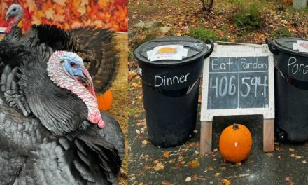 Krull family’s annual ‘Dinner or Pardon’ Turkey Food Drive now open in Normandy Park