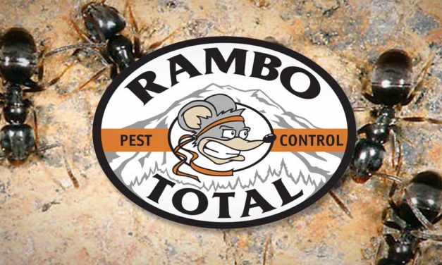 Ants are on the move, and Rambo Total Pest Control can help