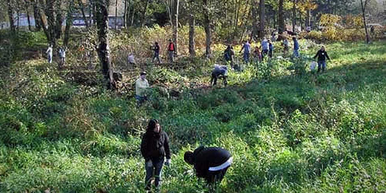 Volunteers needed for Earth Day & re-greening of Miller Creek Trail on Sat., April 23