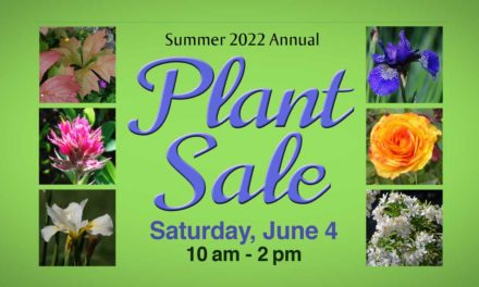 Highline SeaTac Botanical Gardens’ Summer Plant Sale will be this Saturday, June 4